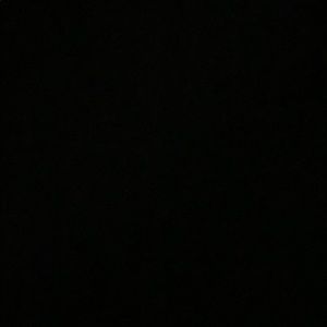 Meet your Posher, Sammi